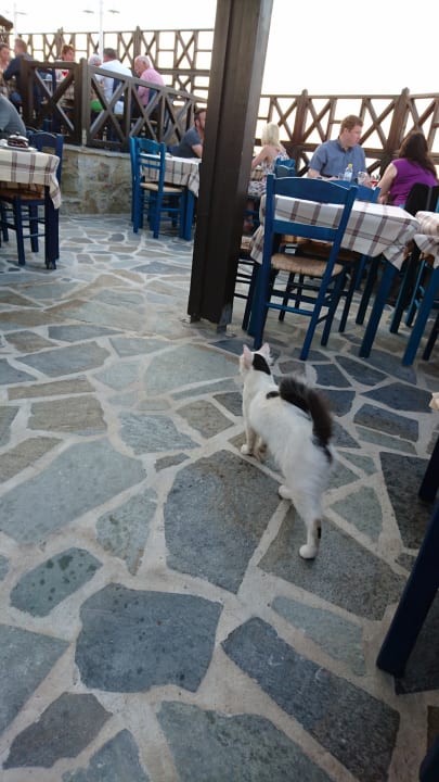 Restaurant Hotel Kalithea Horizon Royal