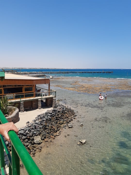 Ausblick Desert Rose