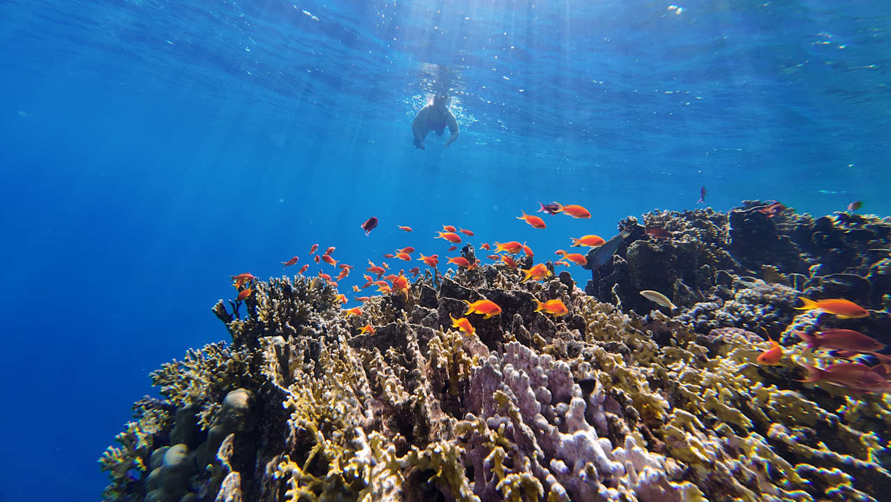 Sonstiges Radisson Blu Resort, El Quseir