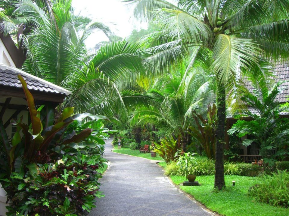 Gartenanlage Hotel Khao Lak Palm Beach Resort