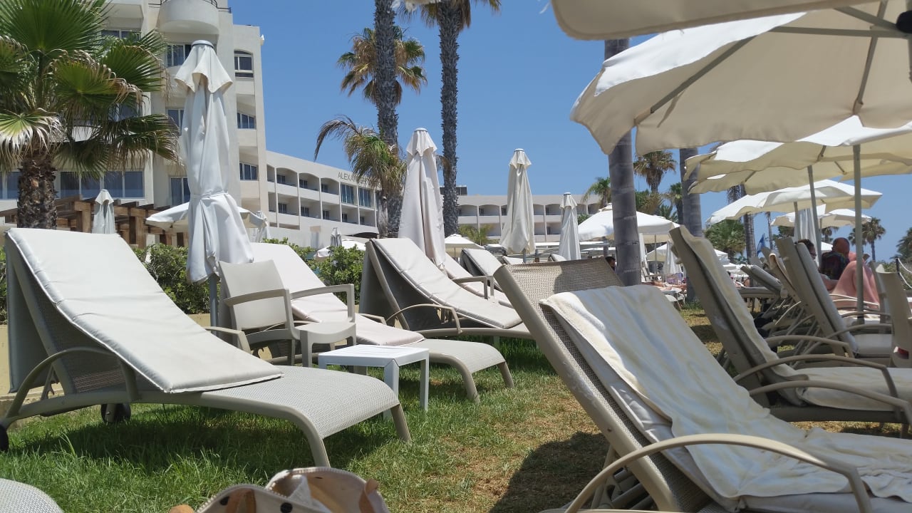 Gartenanlage Alexander The Great Beach Hotel