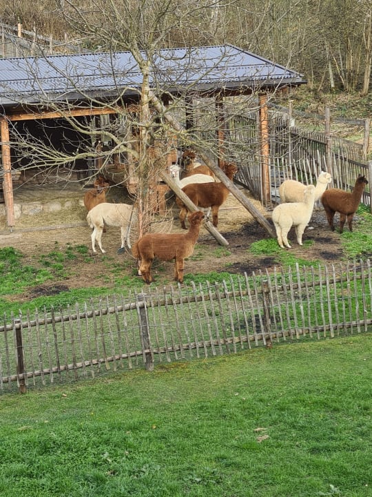 Sport & Freizeit Natur Resort Rissbacher