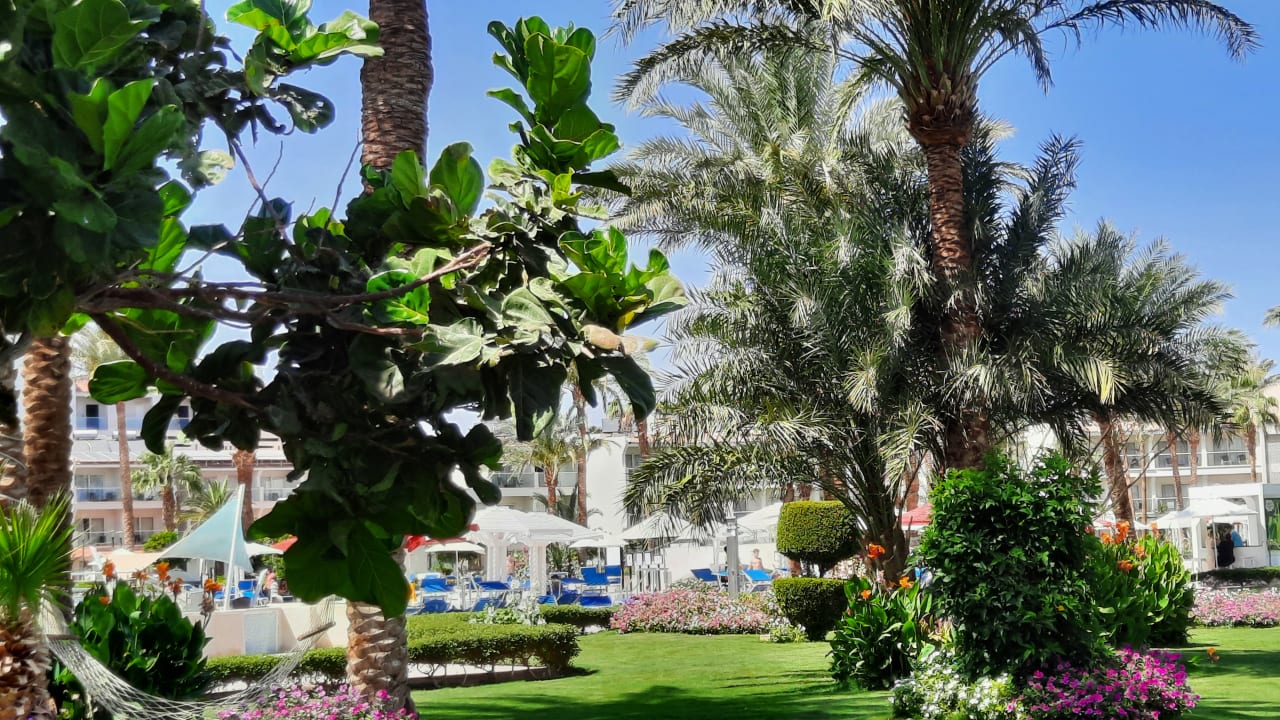 Außenansicht Amarina Abu Soma Resort & Aquapark