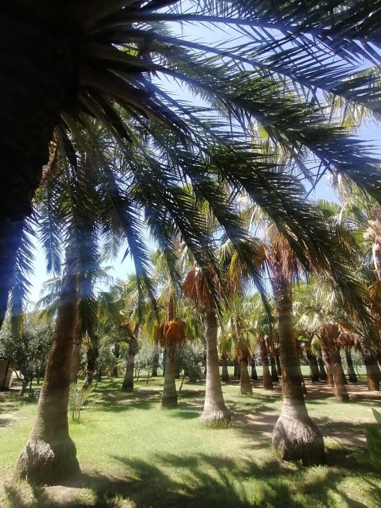 Gartenanlage Seaden Sea World Resort & Spa