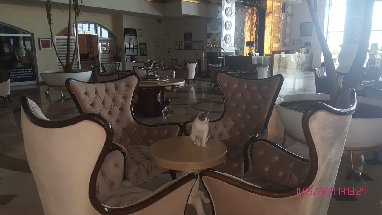 Lobby Castival Hotel