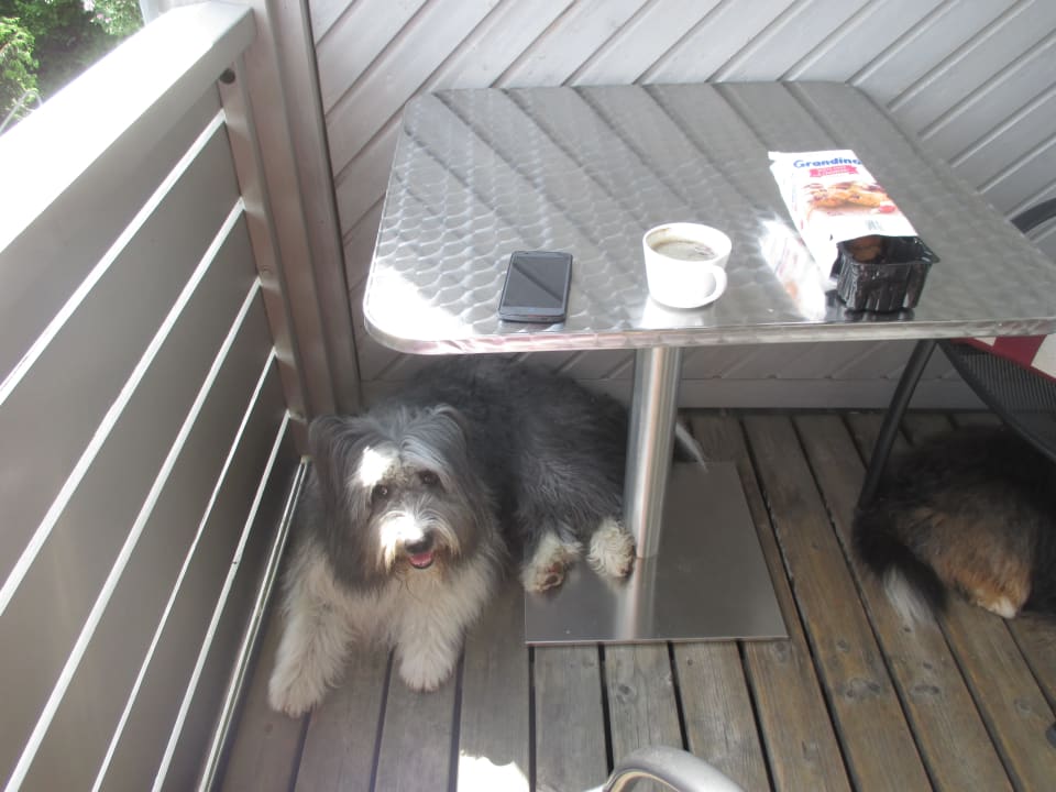 Zimmer Hapimag Resort Winterberg