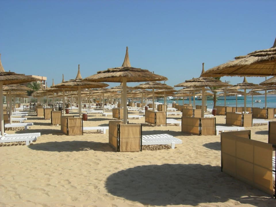 Neues Hotel aber alte Liegen Pickalbatros White Beach Resort - Hurghada