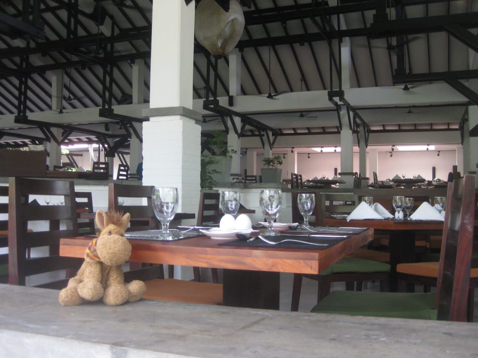 Otti  Club Hotel Dolphin