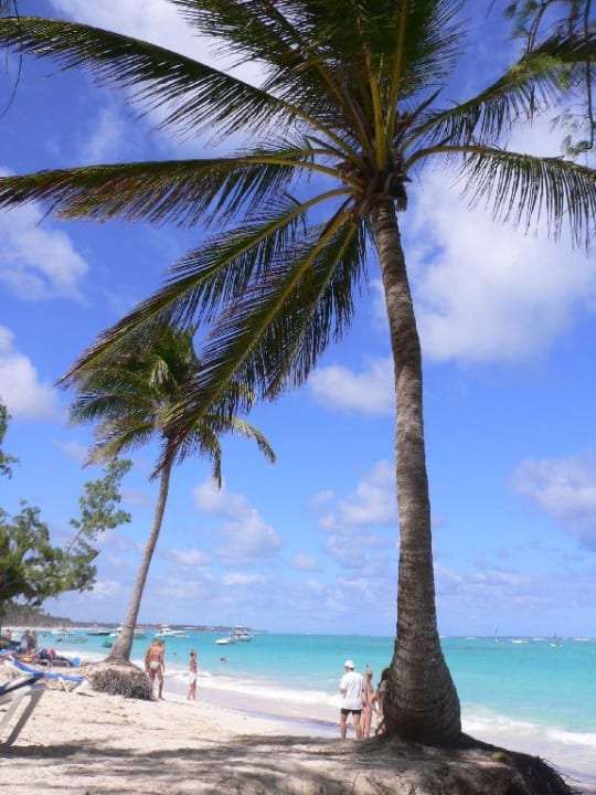 hotelstrand Vista Sol Punta Cana