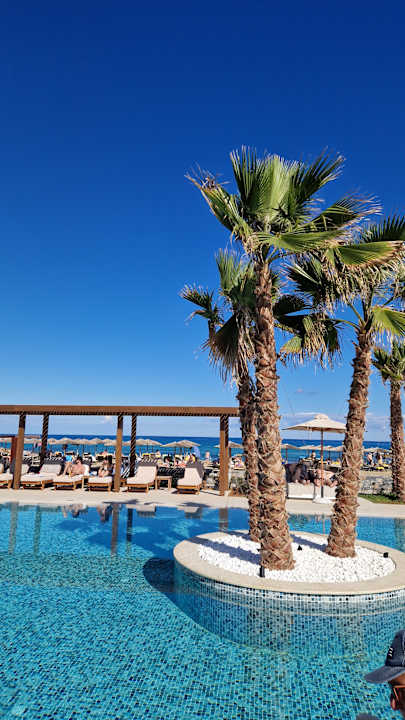 Pool allsun Hotel Carolina Mare