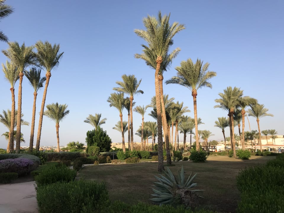 Gartenanlage Siva Sharm
