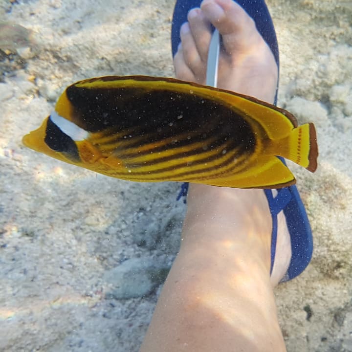 Strand Three Corners Sea Beach Resort