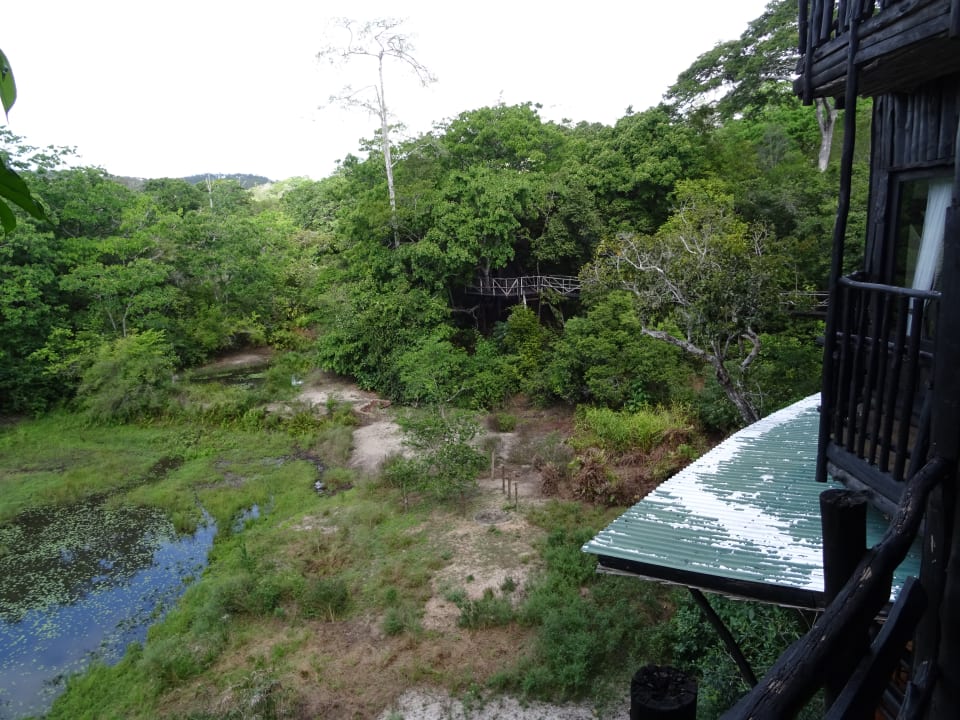 Ausblick Shimba Hills Lodge