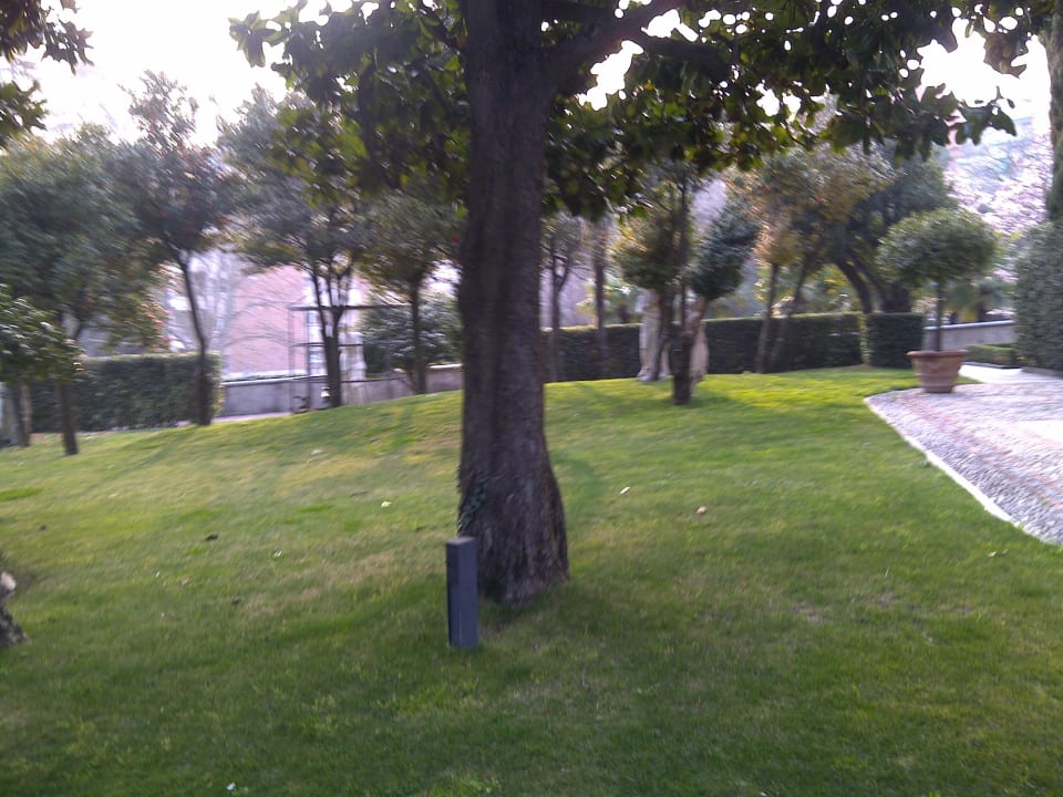 Villa Sassa Villa Sassa