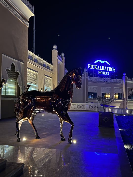 Ausblick Pickalbatros Palace Resort
