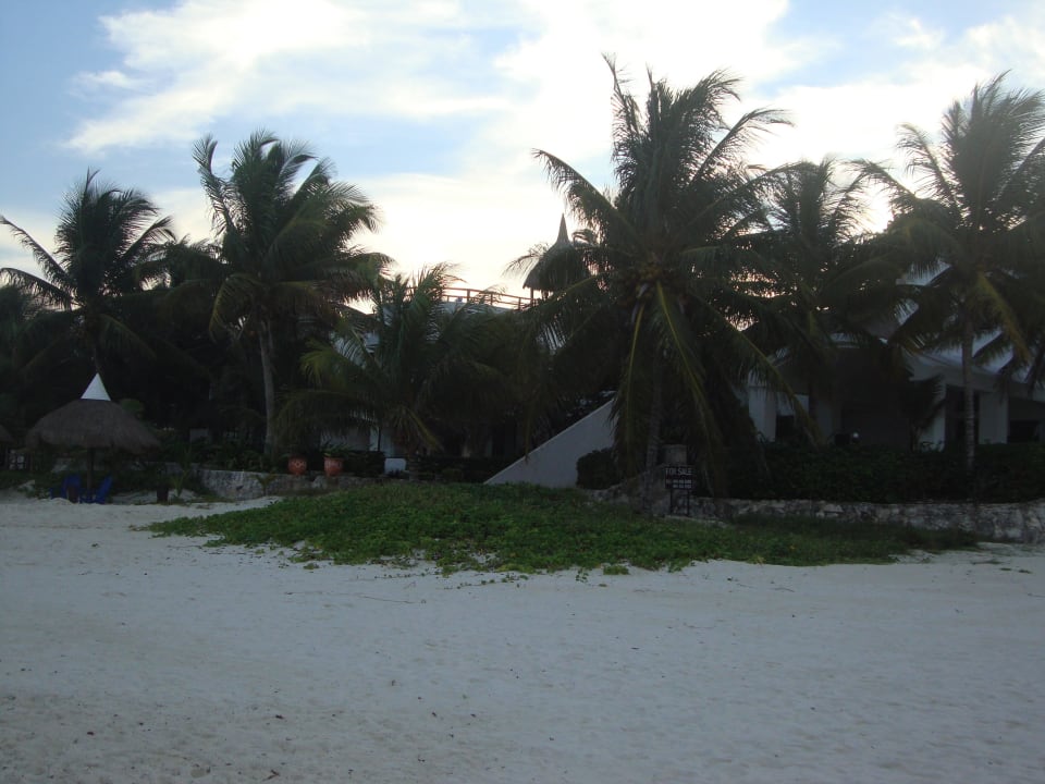 Hotel Catalonia Playa Maroma Catalonia Playa Maroma