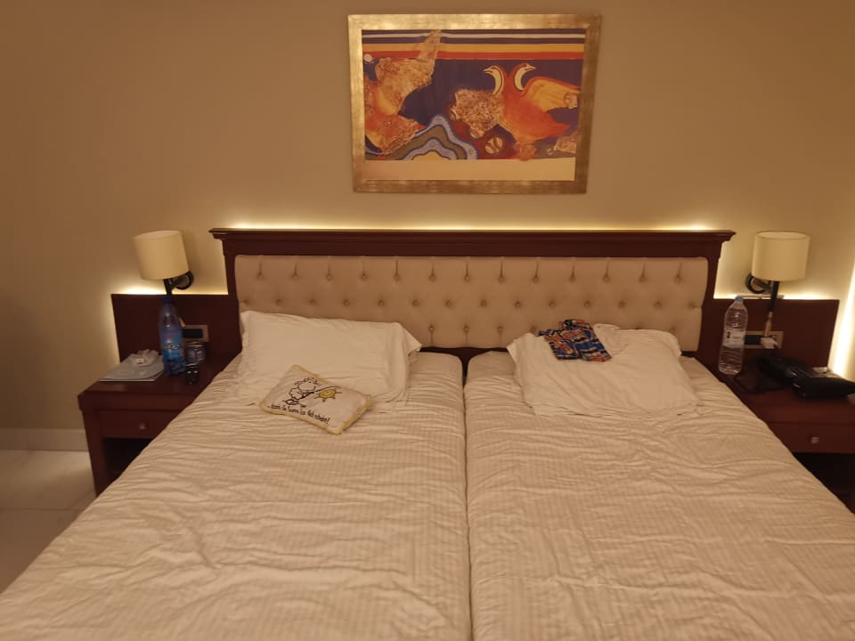 Zimmer Vantaris Palace