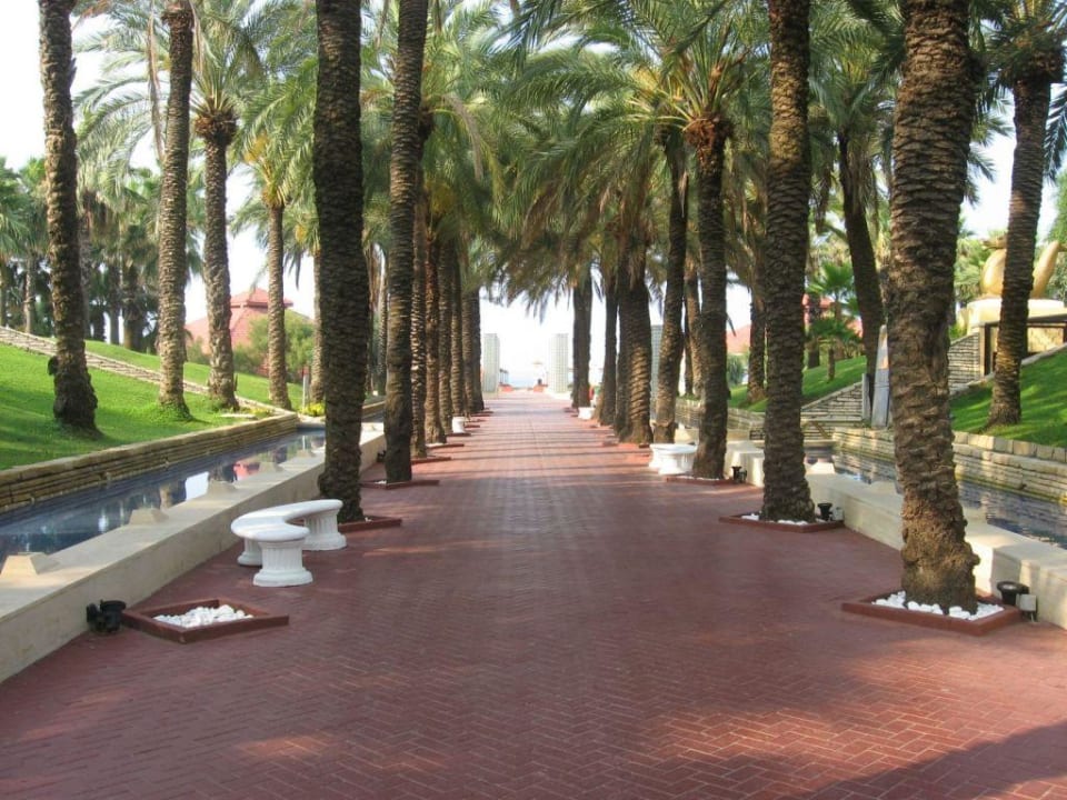 Главная аллея Monachus Family Resort Sorgun