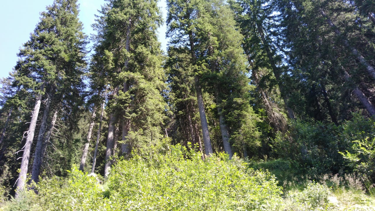 Gartenanlage Aldiana Club Schlanitzen Alm