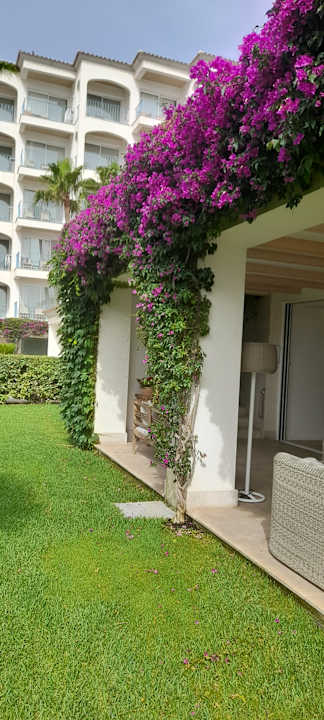 Außenansicht Myseahouse Flamingo - Adults only