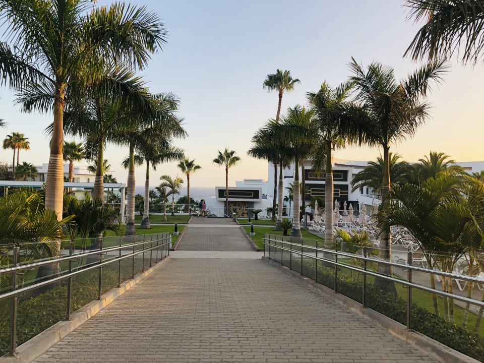 Garten Hotel Riu Arecas - Adults only