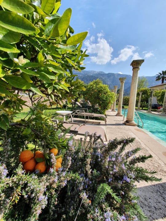 Pool Hotel Finca Ca's Sant