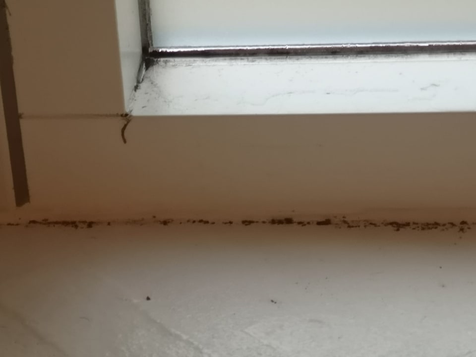 Zimmer Novasol Ferienhäuser