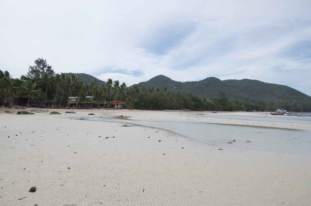 Strand Palm Leaf Resort Koh Tao