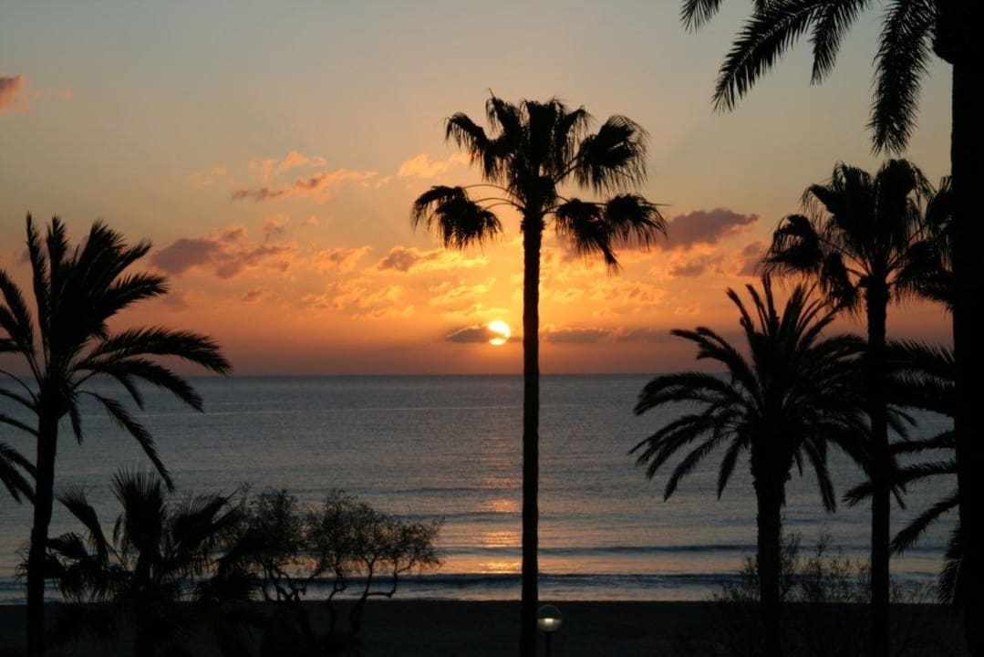 Sonnenaufgang - vom Balkon CM Playa del Moro
