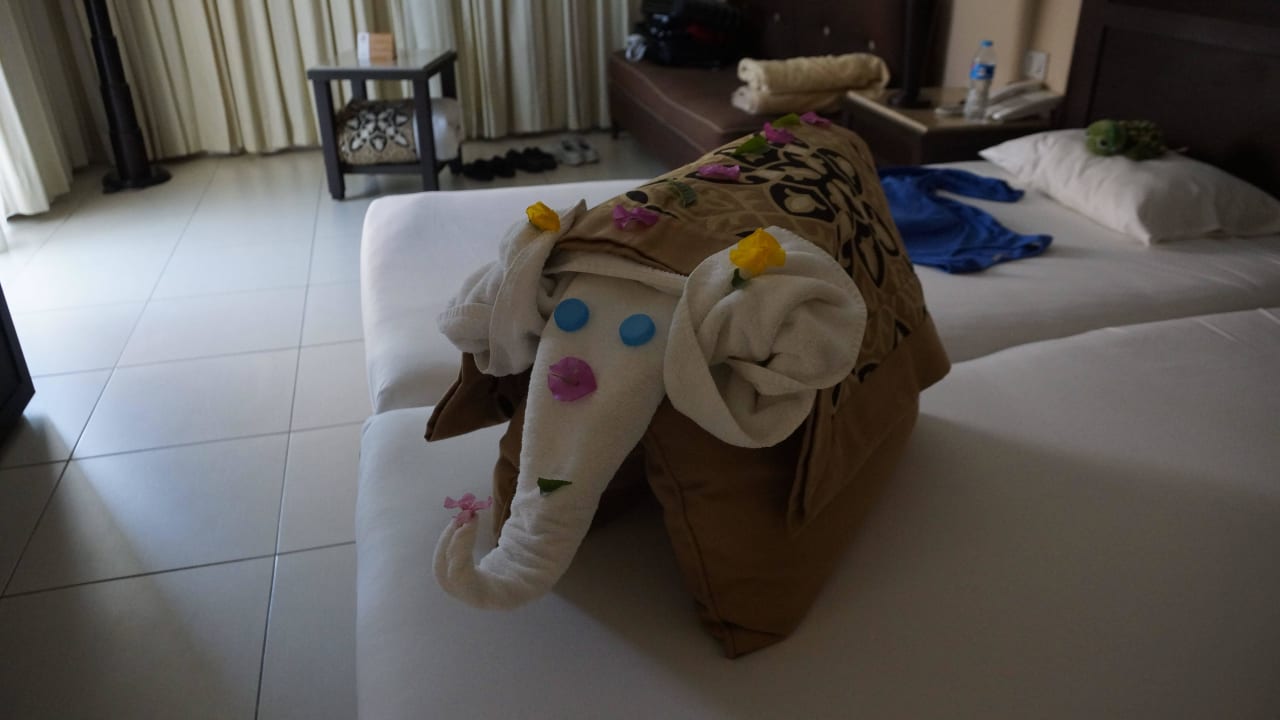 Unser neuer Bewohner Jaz Dar EL Madina