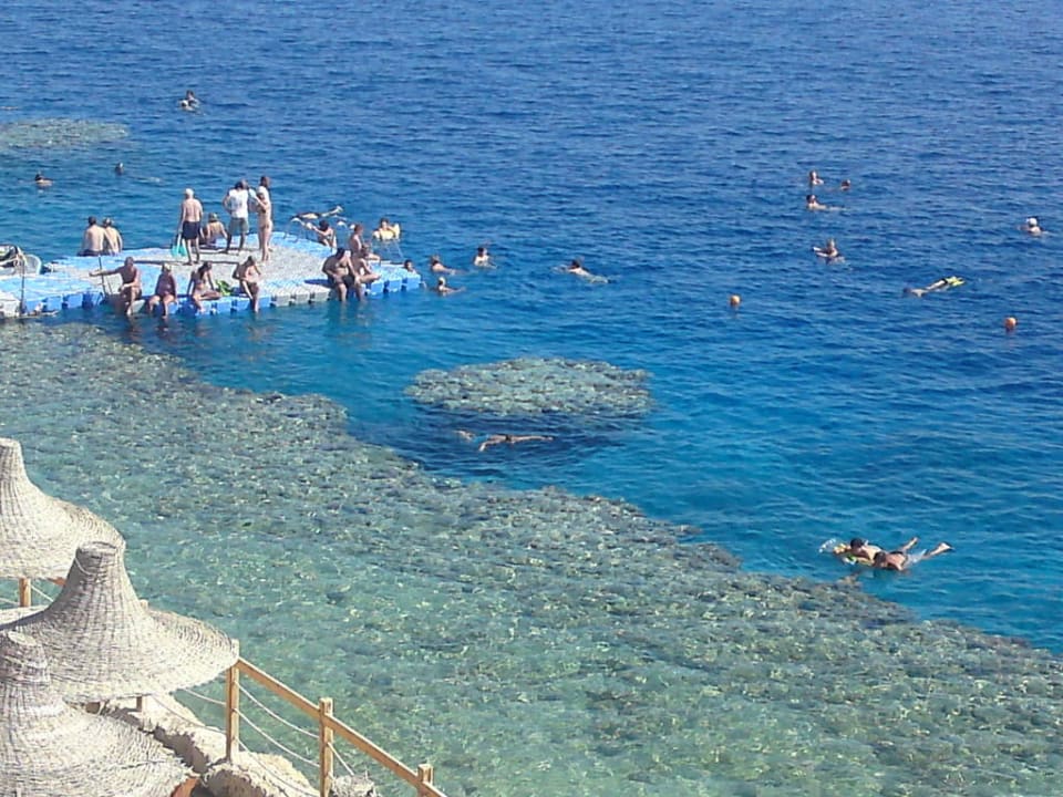 Hotel Sharm Plaza Sharm Plaza