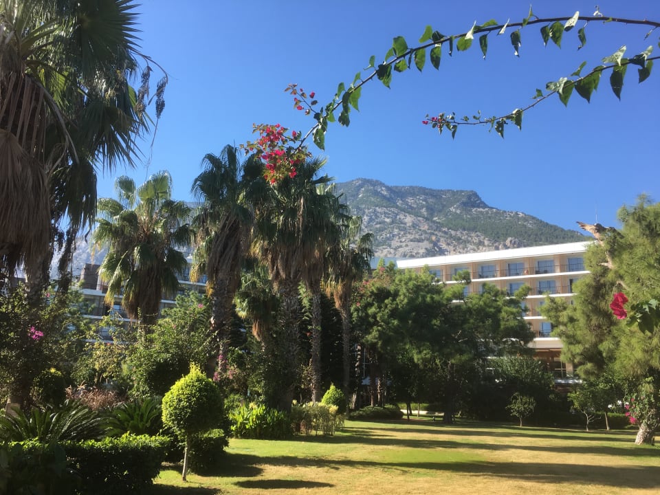 Gartenanlage TUI MAGIC LIFE Beldibi +16