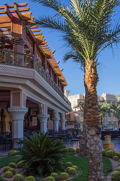 5 Pickalbatros Palace Resort