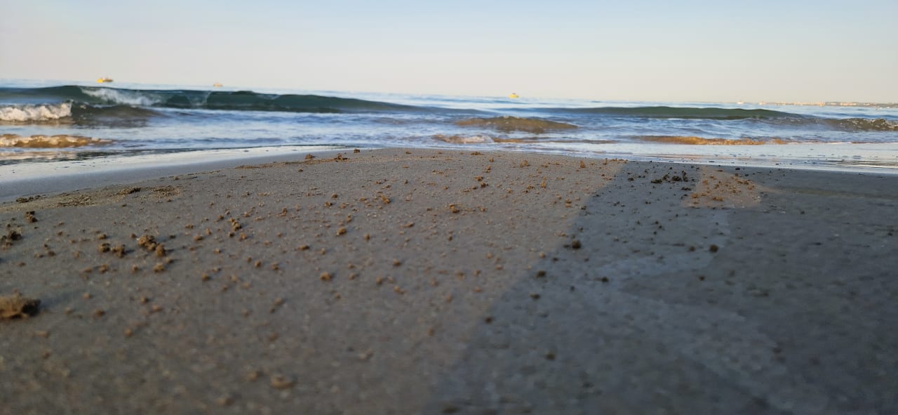 Strand Clover Magic Nova Beach