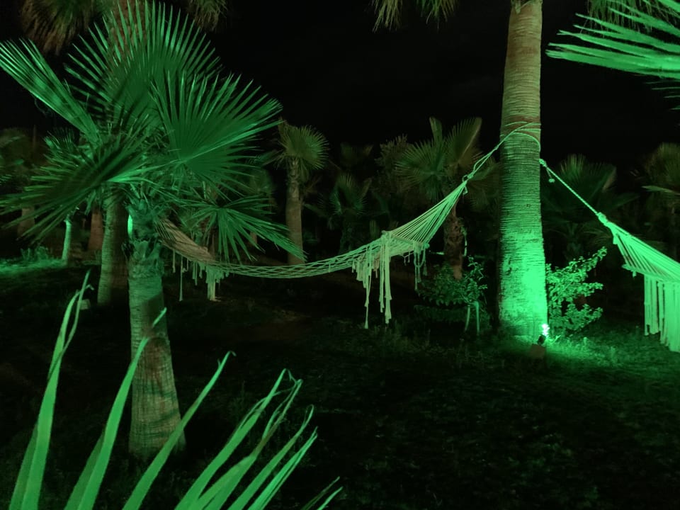 Gartenanlage Roma Beach Resort & Spa 16+ Adult Only