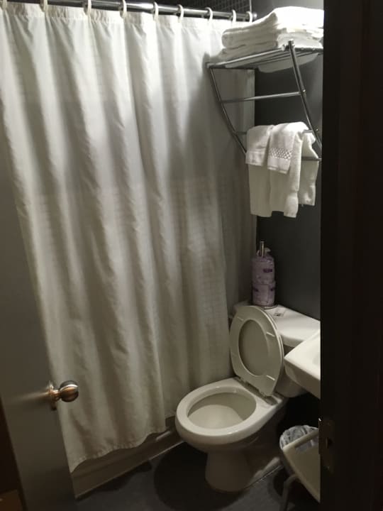 Zimmer Hotel The Rex