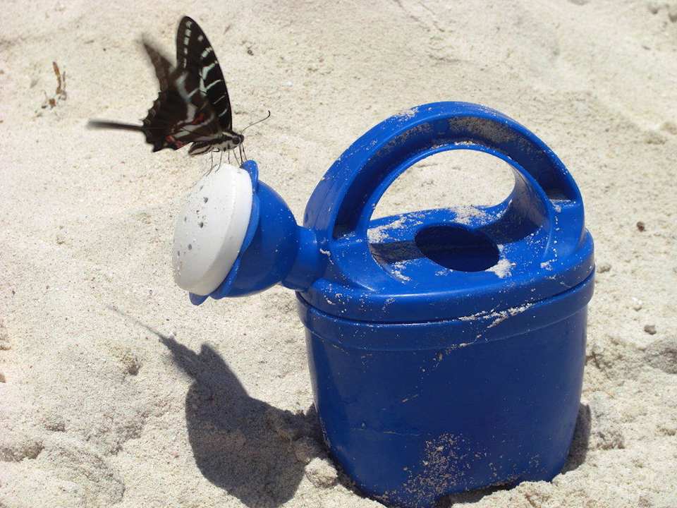 Strandinpression Grand Palladium Select White Sand Resort & Spa