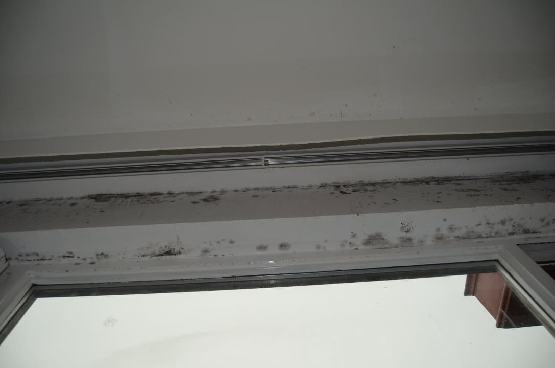 Bad Selina Liverpool