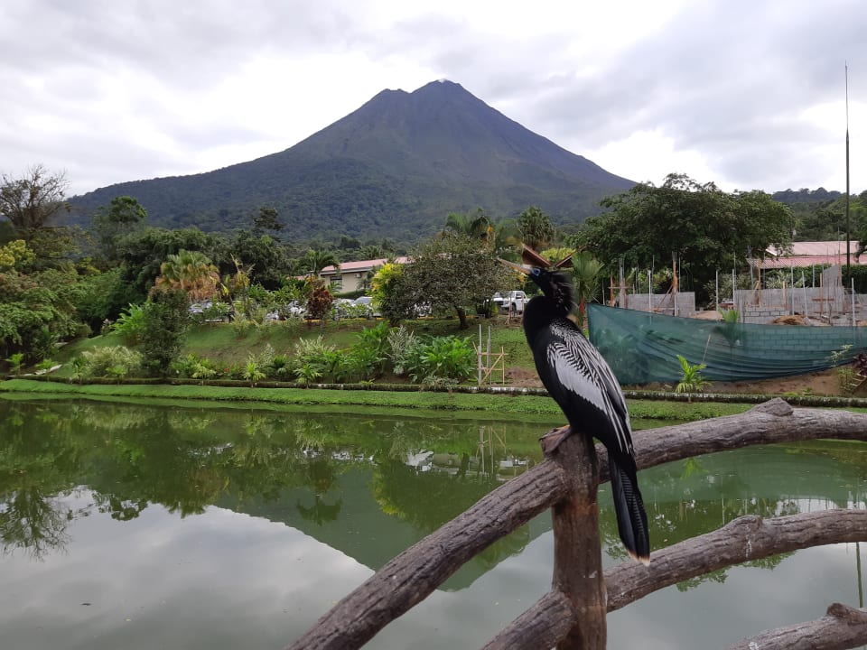 Gartenanlage Hotel Los Lagos