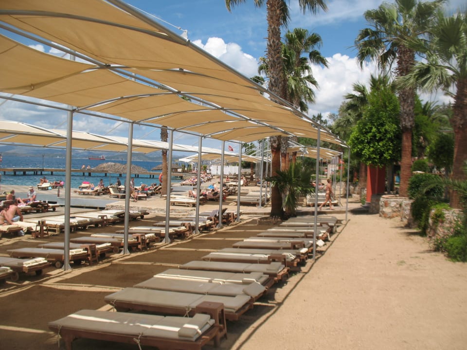 Plaża TUI MAGIC LIFE Bodrum - Adult Only (16+)