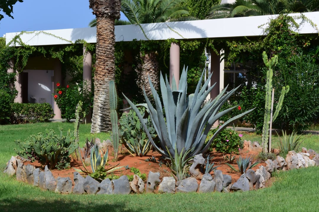103 Lyttos Beach Hotel