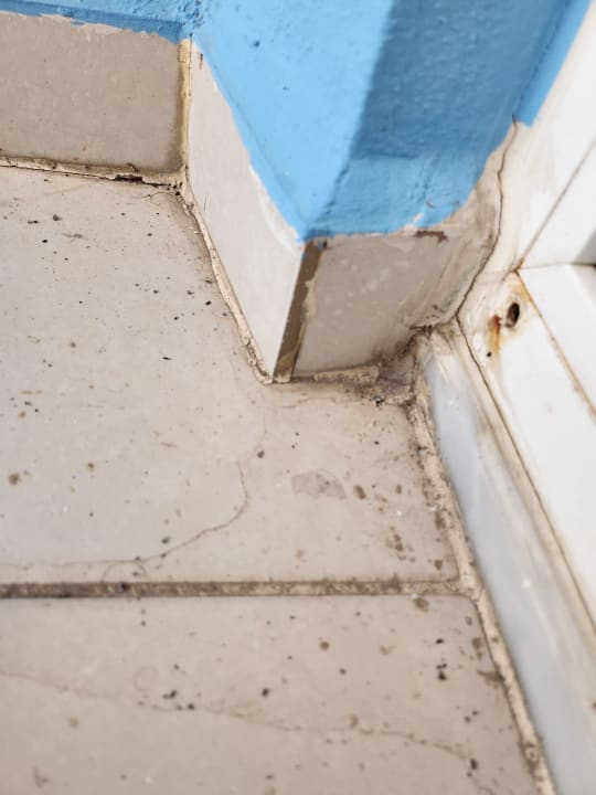 Zimmer Hawaii Suite Beach Hotel