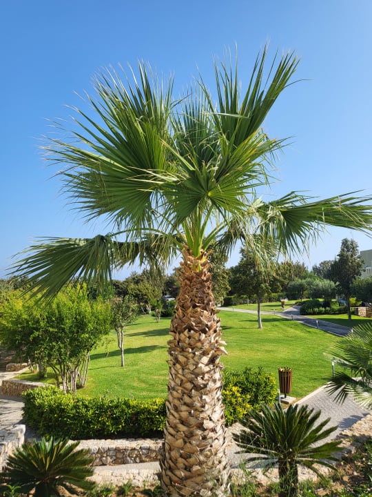 Außenansicht Atlantica Belvedere Resort