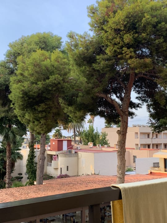 Ausblick Club Can Bossa