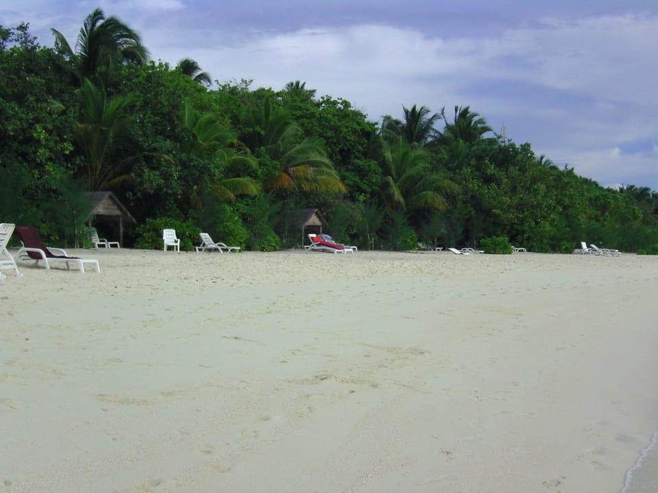 Strand bei den Standardbungis Nr. 4-12 (ca) Summer Island Maldives