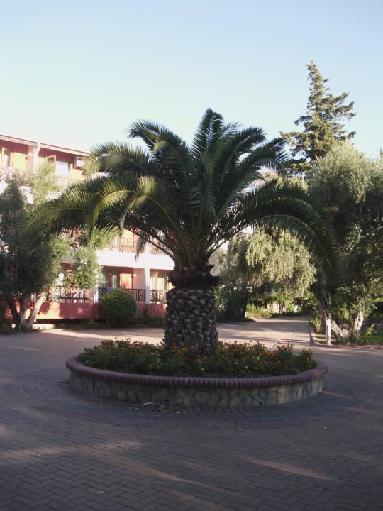 Hübsch Horus Paradise Luxury Resort & Club