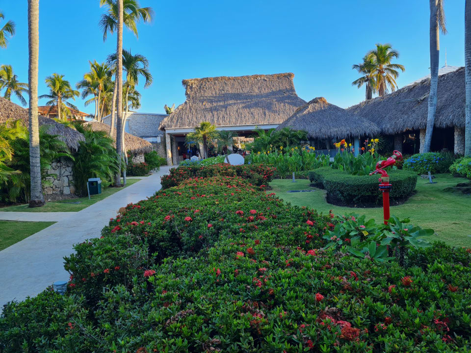 Außenansicht Hotel Viva Dominicus Beach by Wyndham - All Inclusive Resort