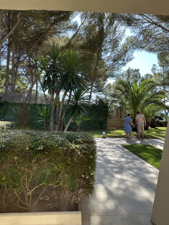 Gartenanlage Iberostar Waves Pinos Park