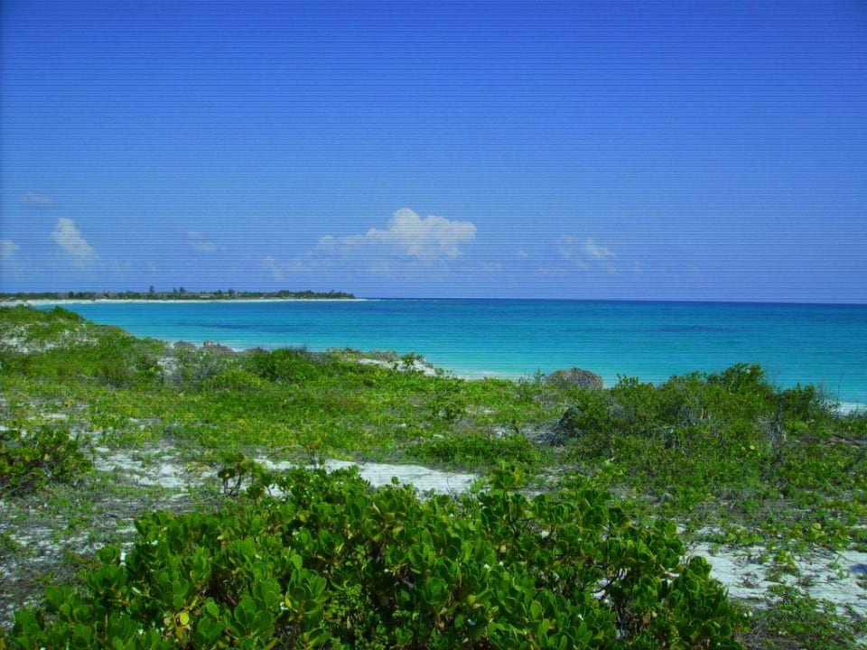 Ausblick auf den Strand Hotel Cayo Largo del Sol