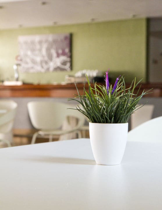 Cafetería Ilunion Menorca